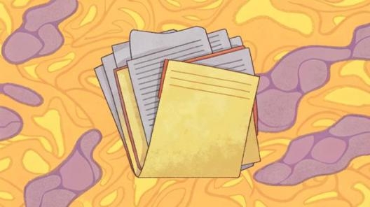 Новый диплом АССА «Финансы и управление бизнесом»